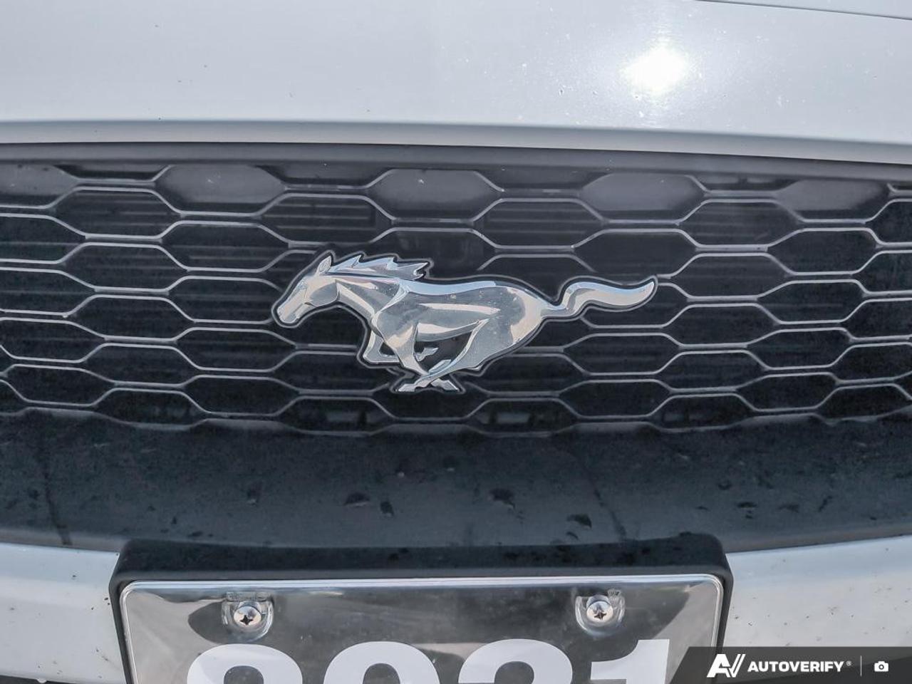 2021 Ford Mustang EcoBoost 2dr Fastback Photo