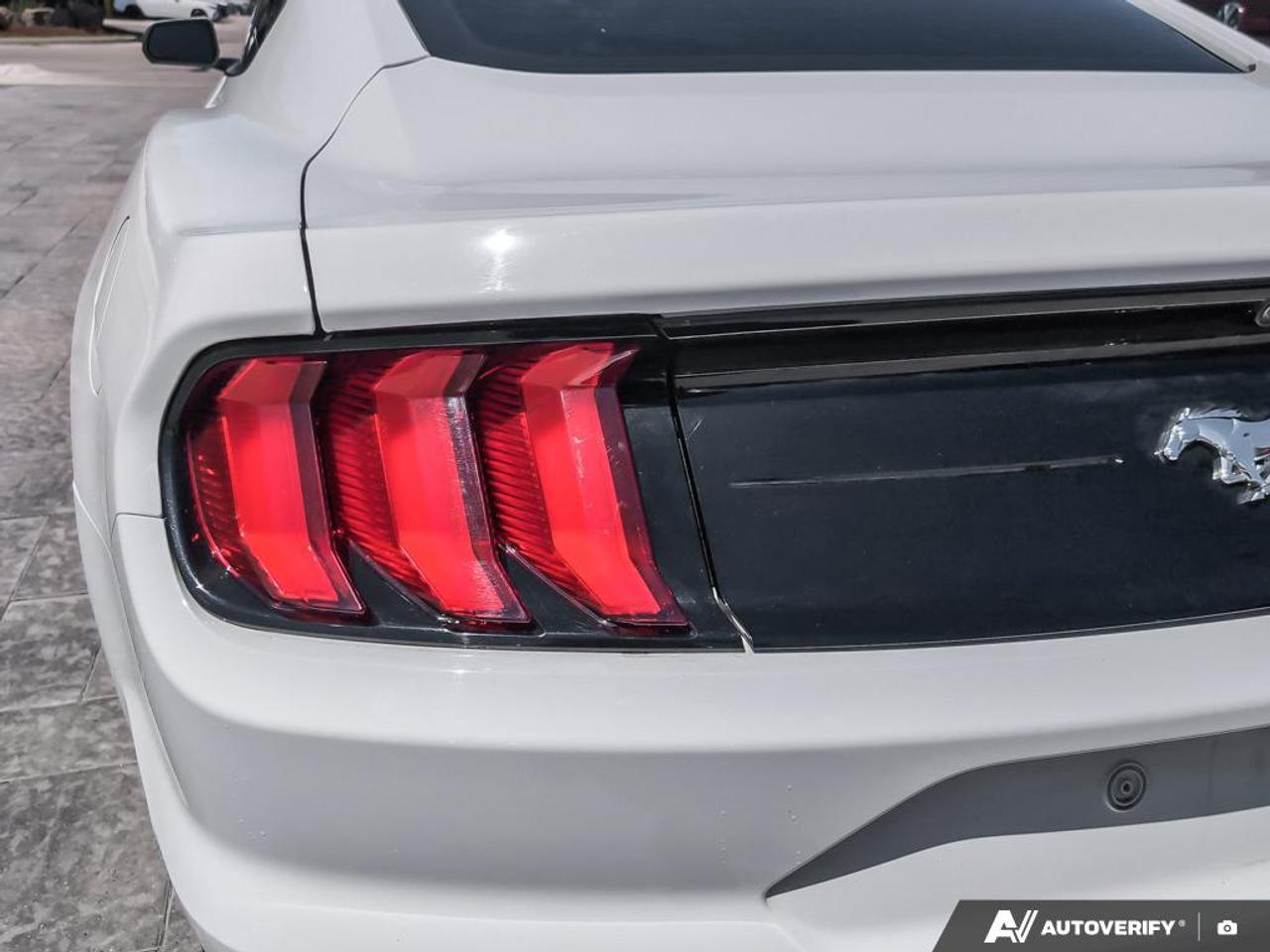 2021 Ford Mustang EcoBoost 2dr Fastback Photo