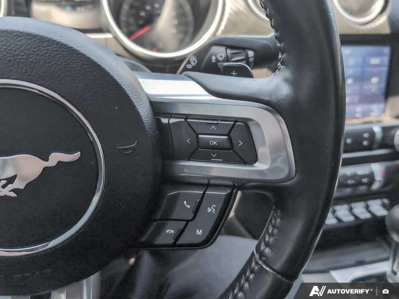 2021 Ford Mustang EcoBoost 2dr Fastback Photo