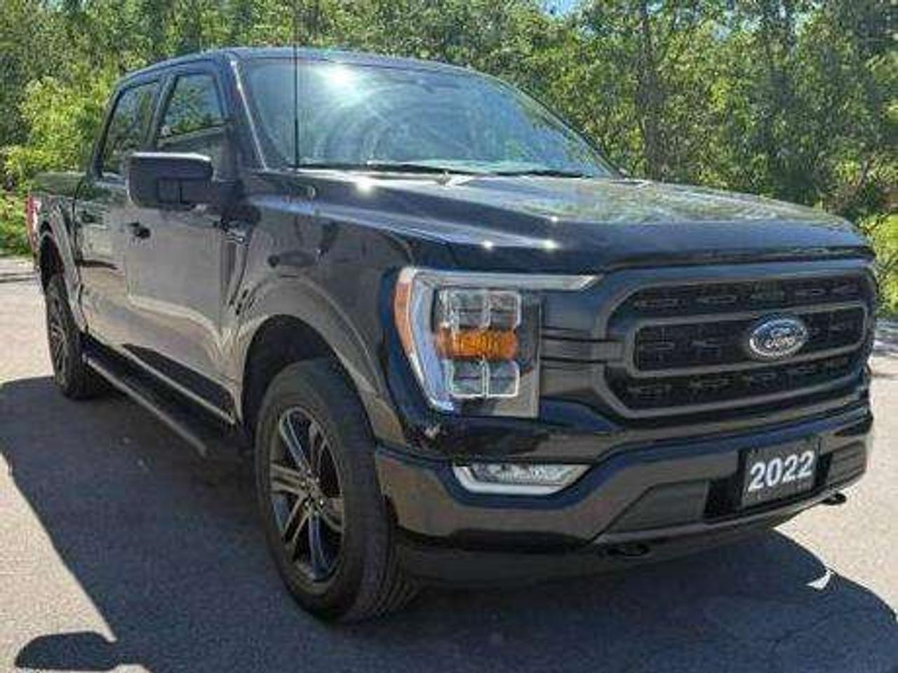 2022 Ford F-150 XLT 302A FX4 20" WHEELS 3.5LT KATZKIN LEATHER Photo