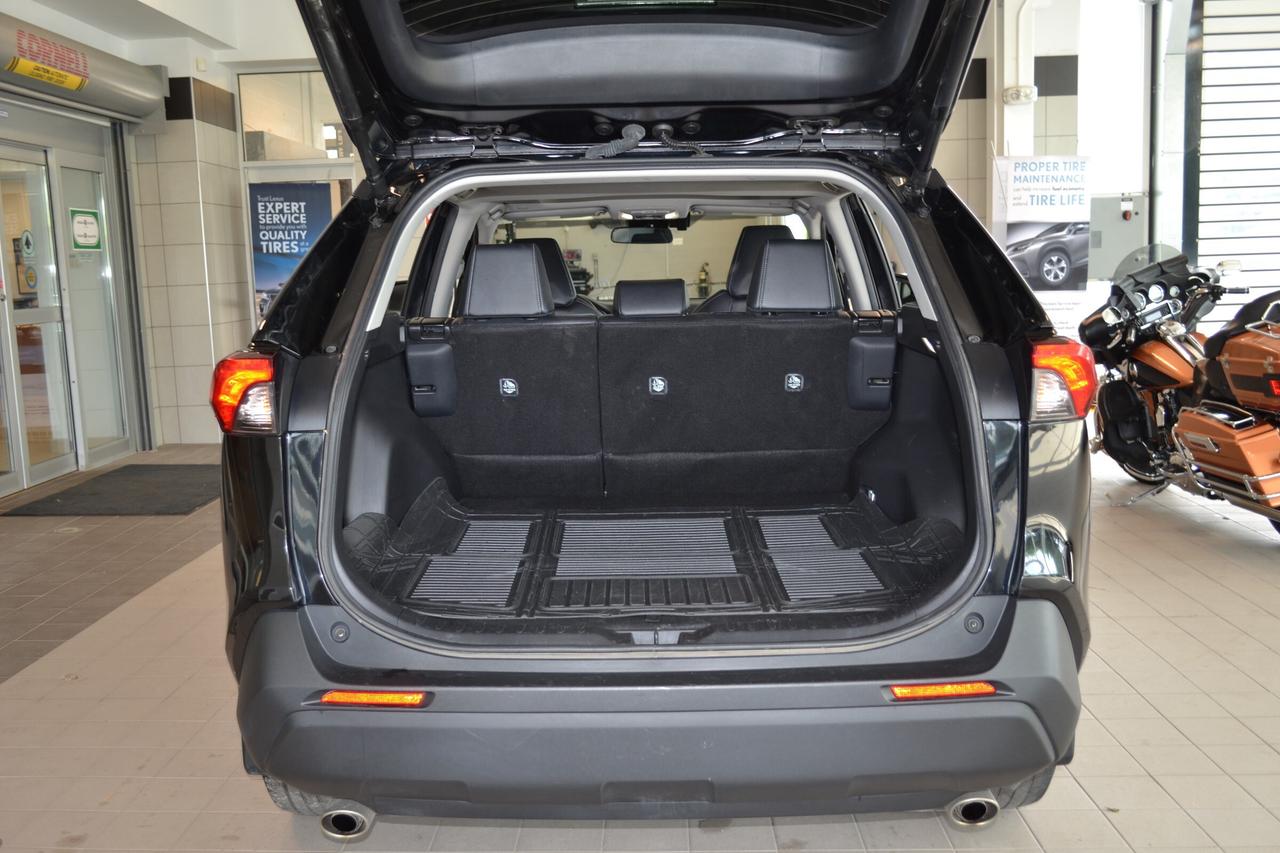 2024 Toyota RAV4 XLE Photo