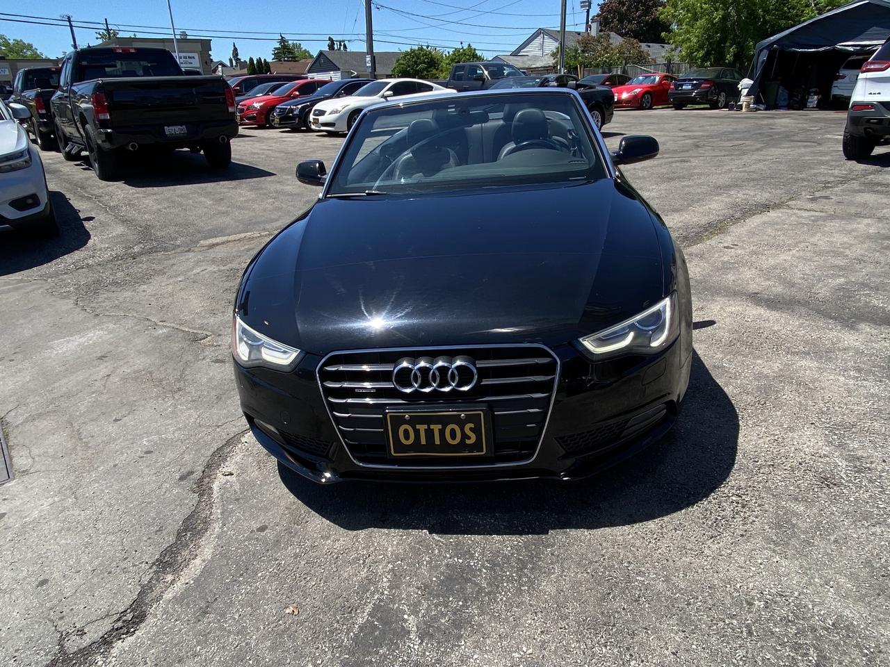 2013 Audi A5 2dr Conv Auto Premium Photo
