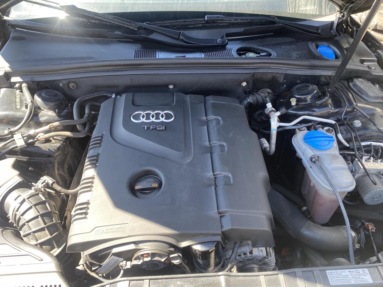 2013 Audi A5 2dr Conv Auto Premium Photo