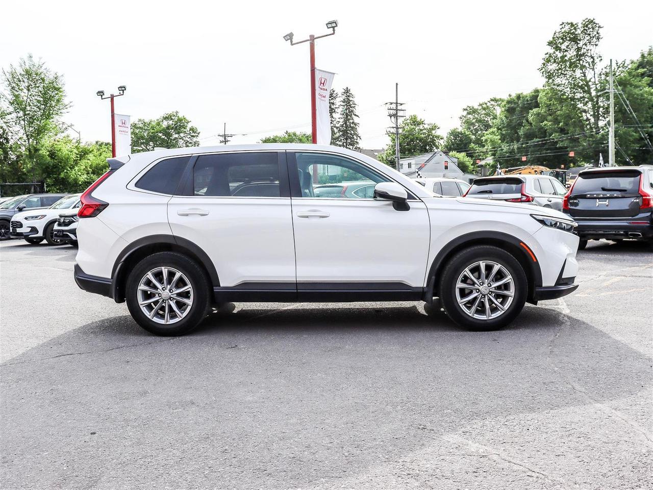 2023 Honda CR-V EX-L AWD SUNROOF LEATHER Photo