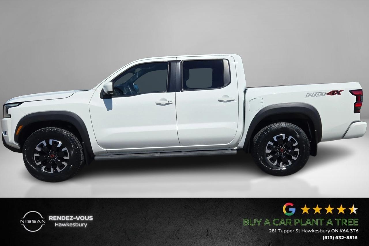 2023 Nissan Frontier Pro-4X Photo