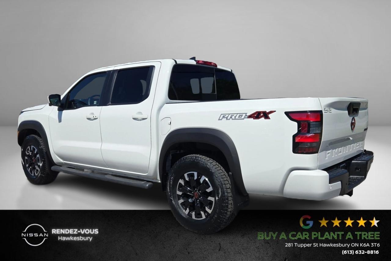 2023 Nissan Frontier Pro-4X Photo