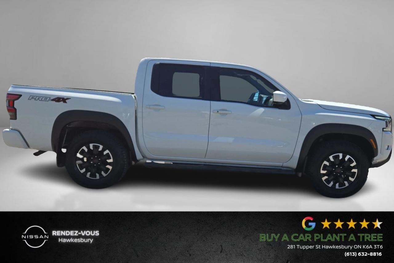 2023 Nissan Frontier Pro-4X Photo