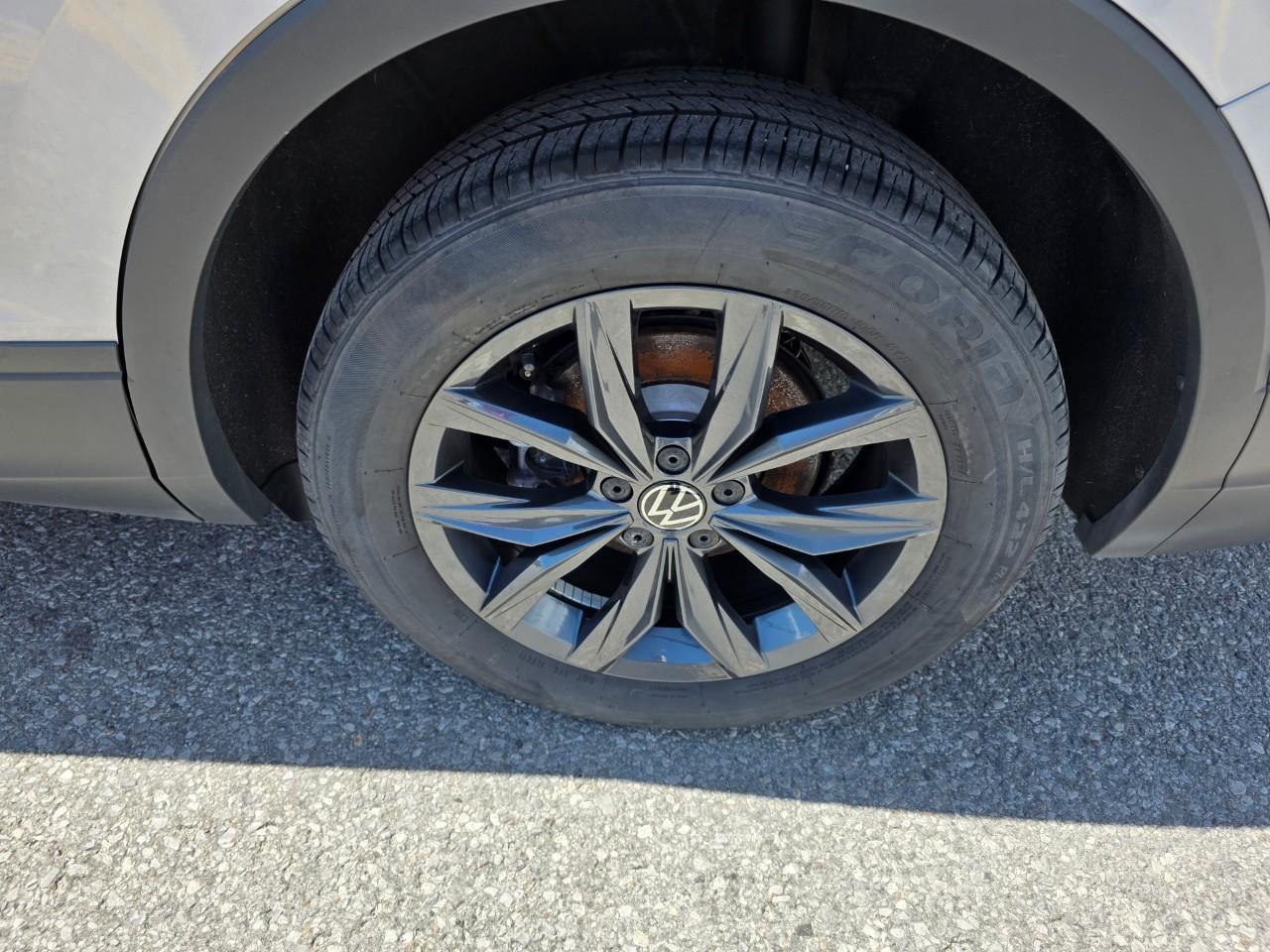 2024 Volkswagen Tiguan Comfortline 4dr All-wheel Drive 4MOTION Photo