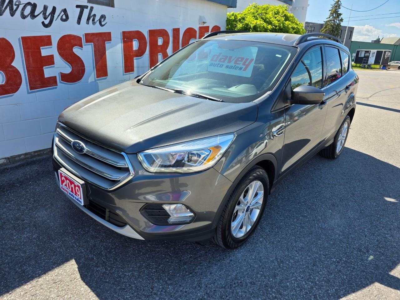 2019 Ford Escape SEL 4dr 4x4 Photo