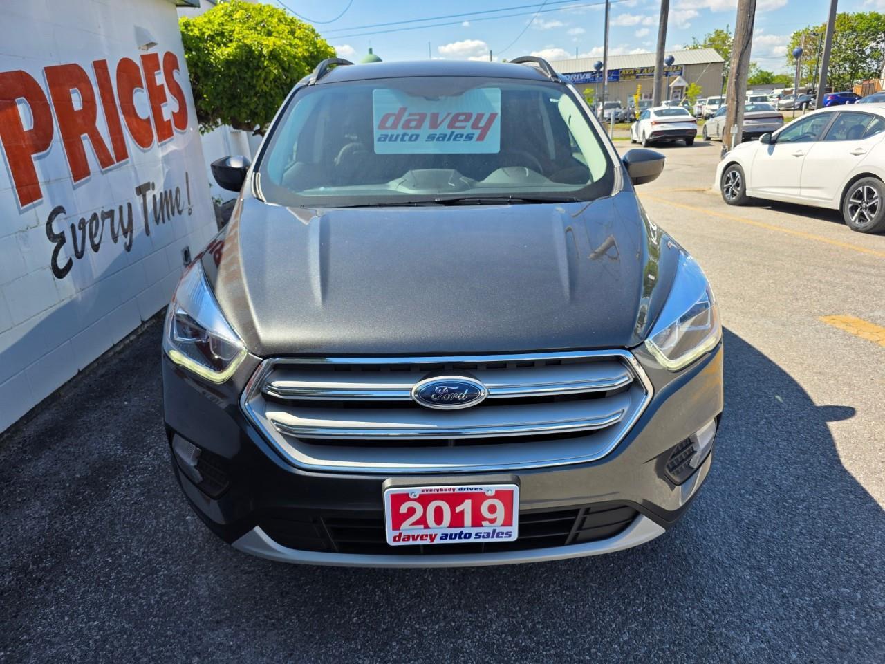 2019 Ford Escape SEL 4dr 4x4 Photo