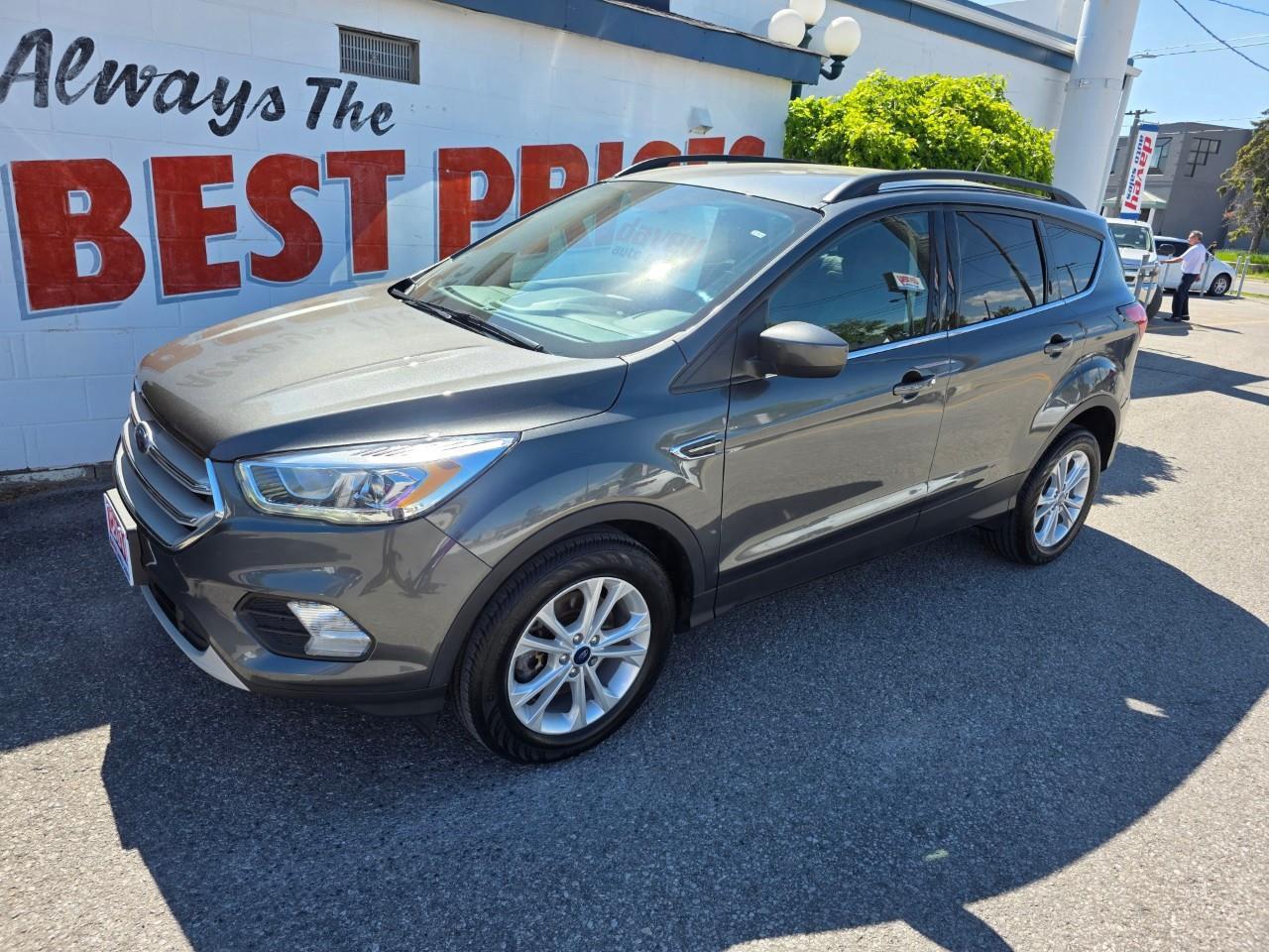 2019 Ford Escape SEL 4dr 4x4 Photo