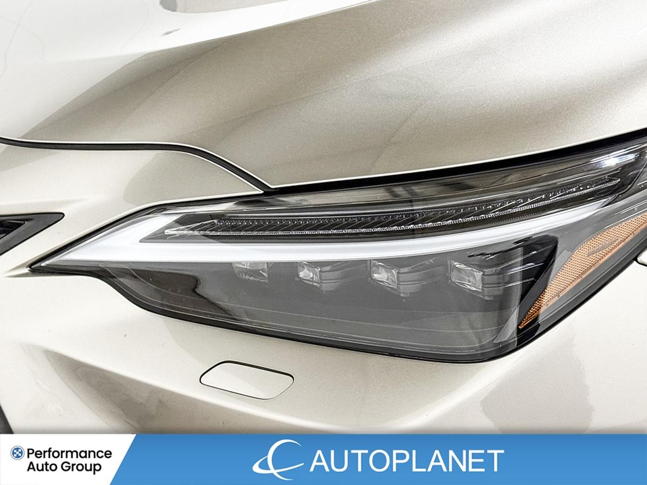 2023 Lexus NX F-Sport 1 AWD, Back Up Cam, Heads Up Display! Photo