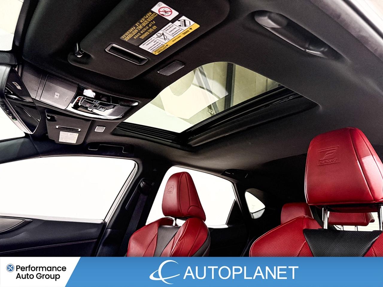 2023 Lexus NX F-Sport 1 AWD, Back Up Cam, Heads Up Display! Photo