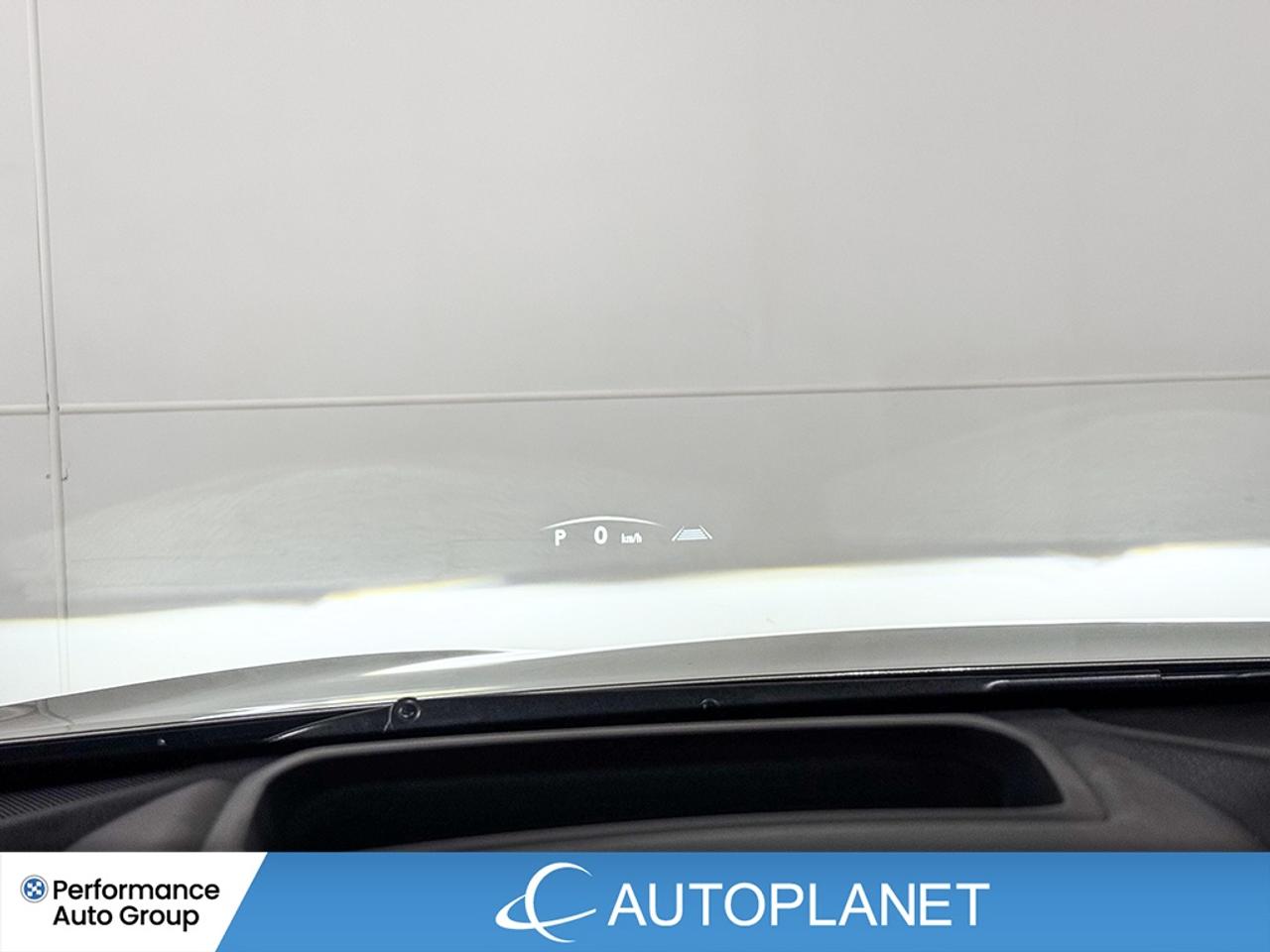 2023 Lexus NX F-Sport 1 AWD, Back Up Cam, Heads Up Display! Photo
