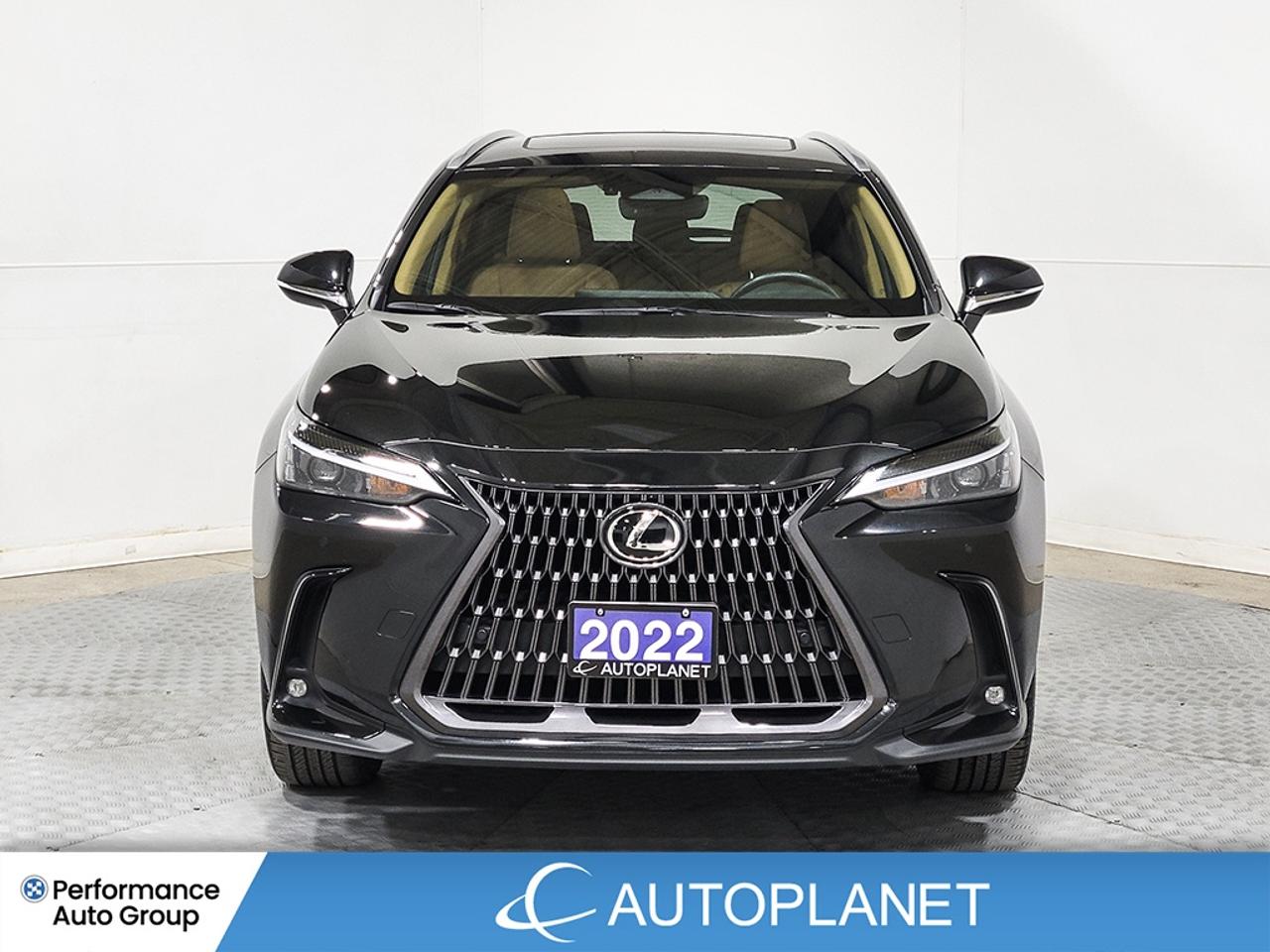 2022 Lexus NX 350 Luxury AWD, Sunroof, Back Up Cam, Apple CarPlay! Photo