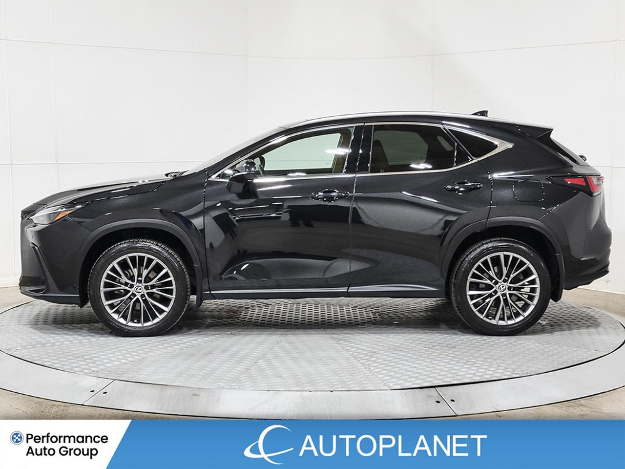 2022 Lexus NX 350 Luxury AWD, Sunroof, Back Up Cam, Apple CarPlay! Photo