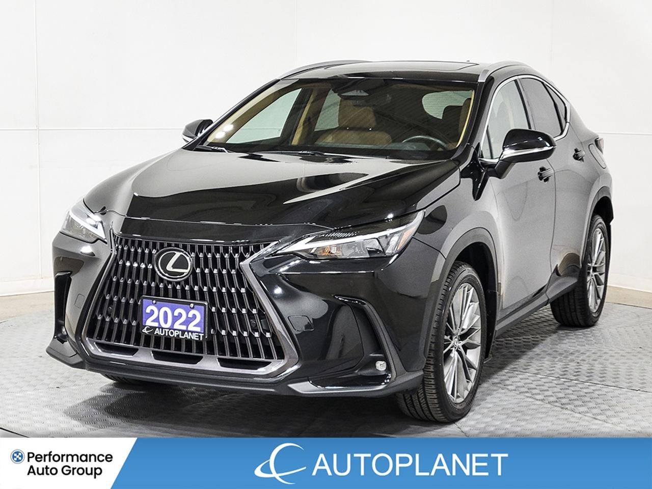 2022 Lexus NX 350 Luxury AWD, Sunroof, Back Up Cam, Apple CarPlay! Photo