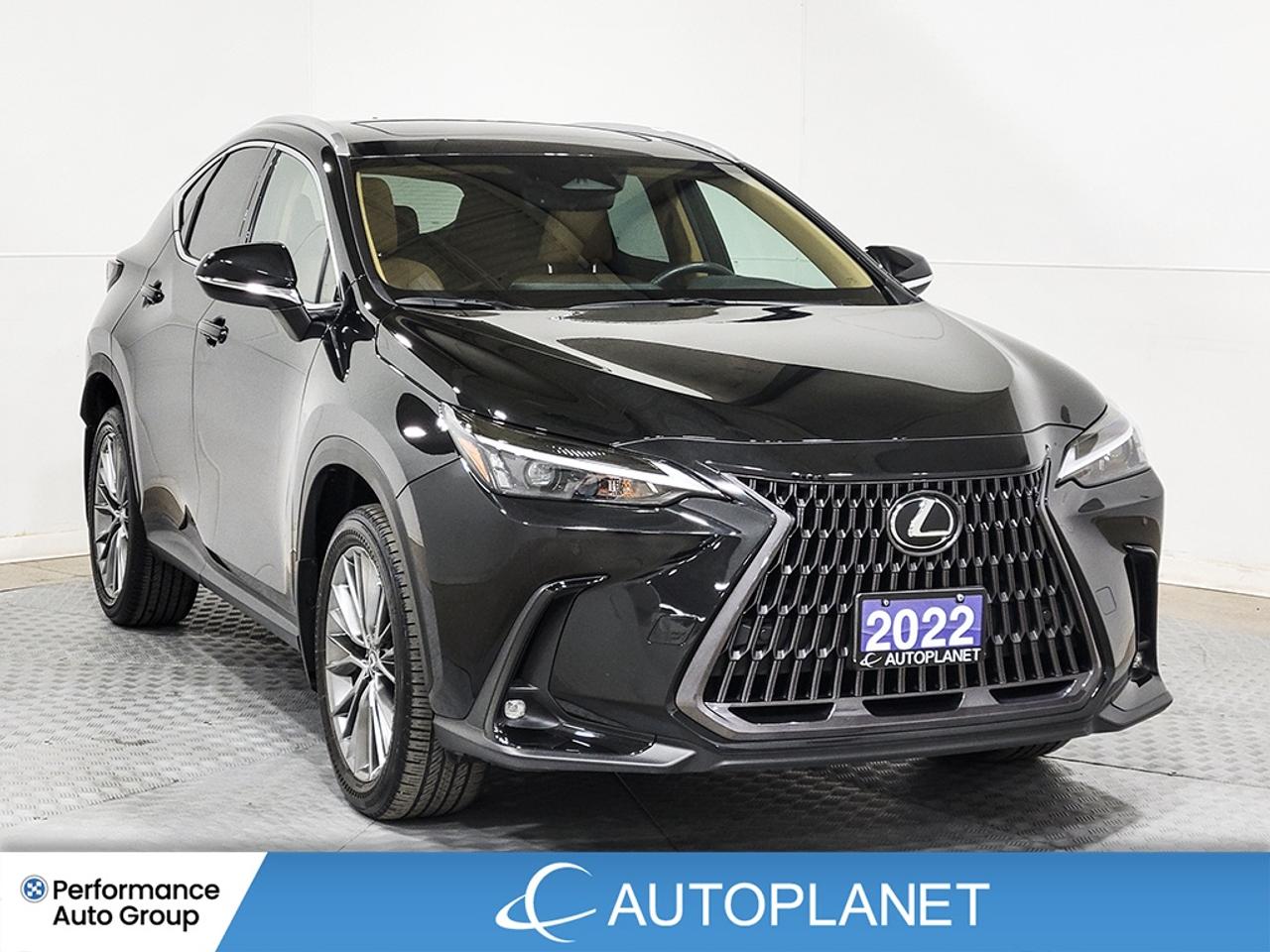 2022 Lexus NX 350 Luxury AWD, Sunroof, Back Up Cam, Apple CarPlay! Photo