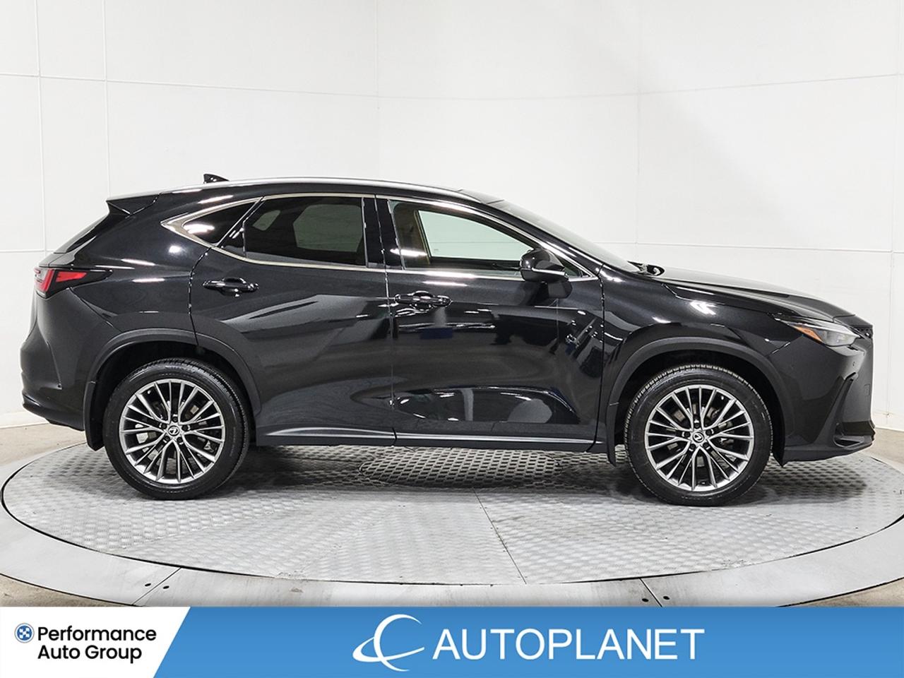 2022 Lexus NX 350 Luxury AWD, Sunroof, Back Up Cam, Apple CarPlay! Photo