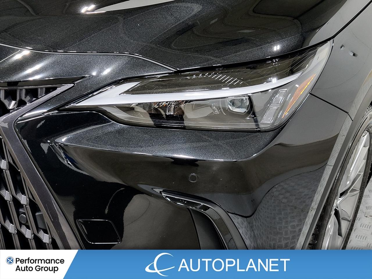 2022 Lexus NX 350 Luxury AWD, Sunroof, Back Up Cam, Apple CarPlay! Photo