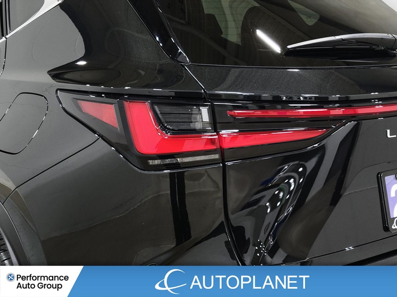 2022 Lexus NX 350 Luxury AWD, Sunroof, Back Up Cam, Apple CarPlay! Photo