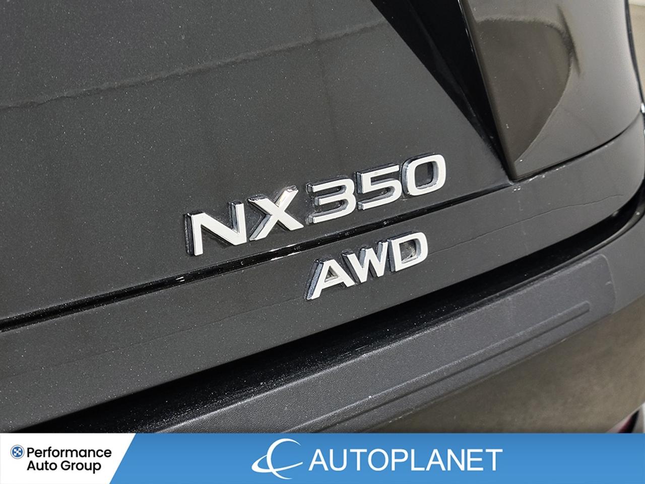 2022 Lexus NX 350 Luxury AWD, Sunroof, Back Up Cam, Apple CarPlay! Photo