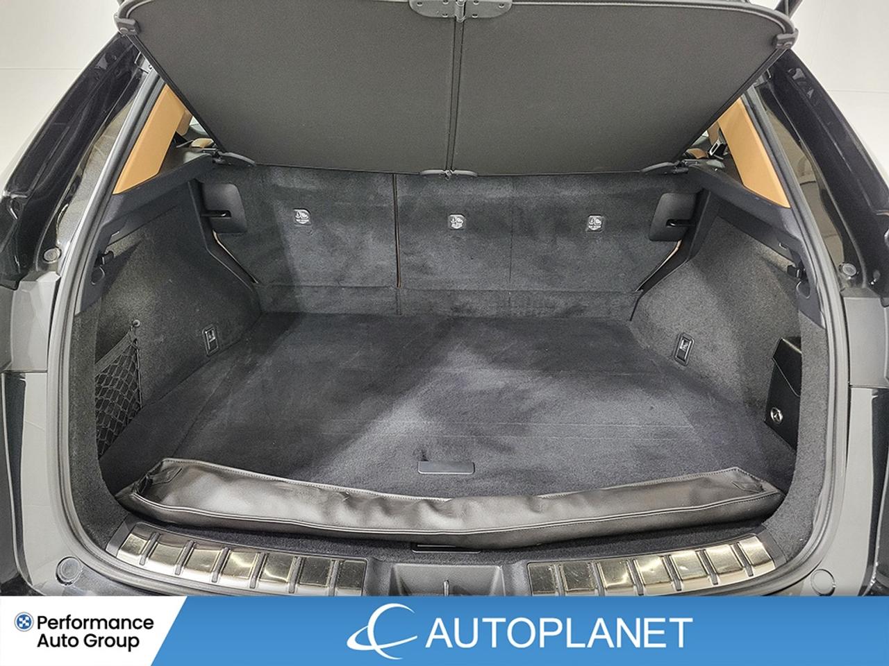 2022 Lexus NX 350 Luxury AWD, Sunroof, Back Up Cam, Apple CarPlay! Photo