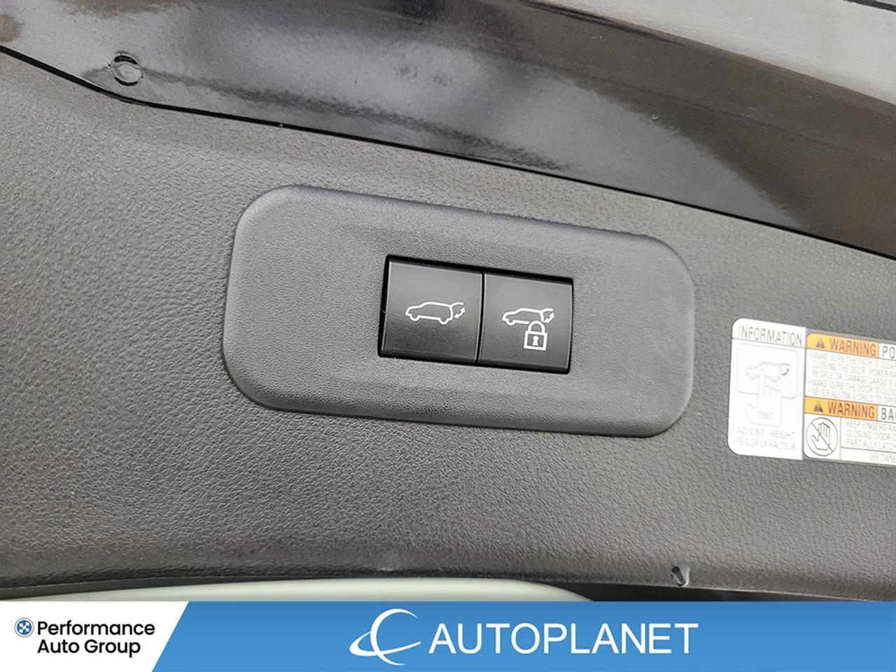 2022 Lexus NX 350 Luxury AWD, Sunroof, Back Up Cam, Apple CarPlay! Photo