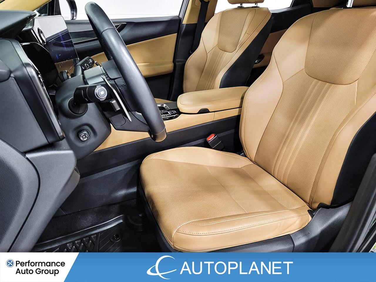 2022 Lexus NX 350 Luxury AWD, Sunroof, Back Up Cam, Apple CarPlay! Photo