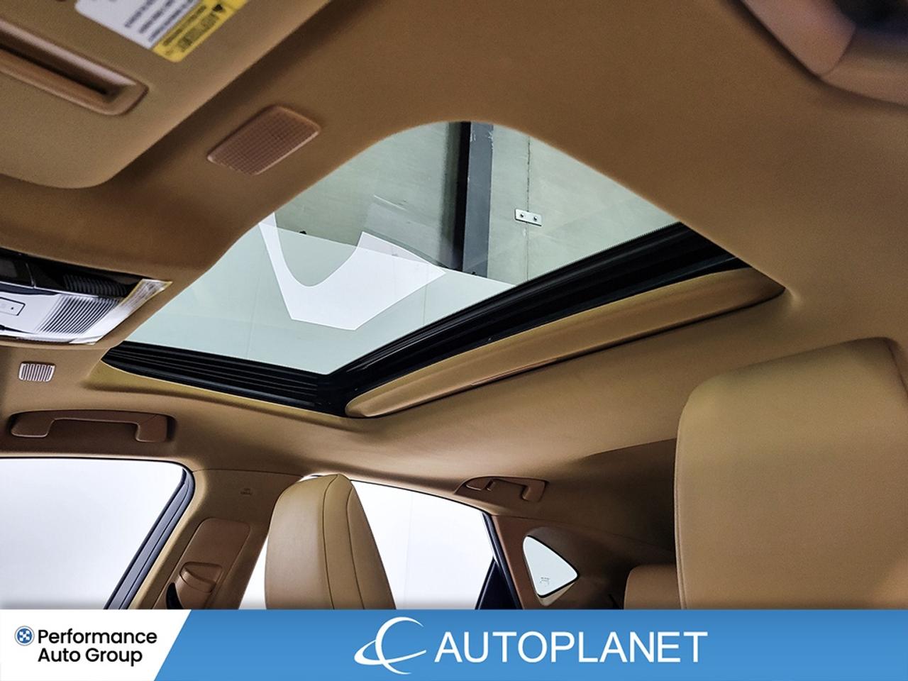 2022 Lexus NX 350 Luxury AWD, Sunroof, Back Up Cam, Apple CarPlay! Photo