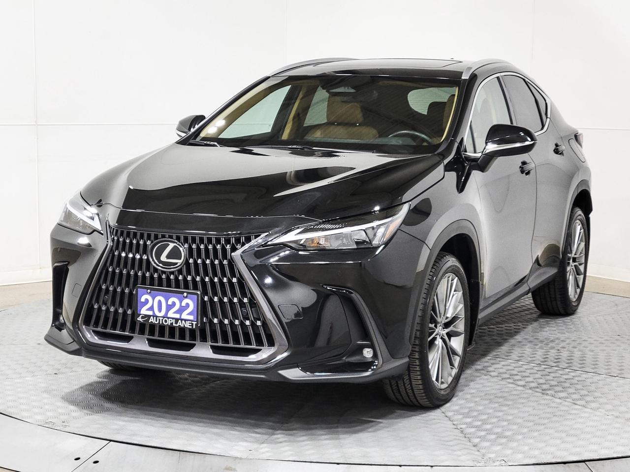 2022 Lexus NX 350 Luxury AWD, Sunroof, Back Up Cam, Apple CarPlay! Photo