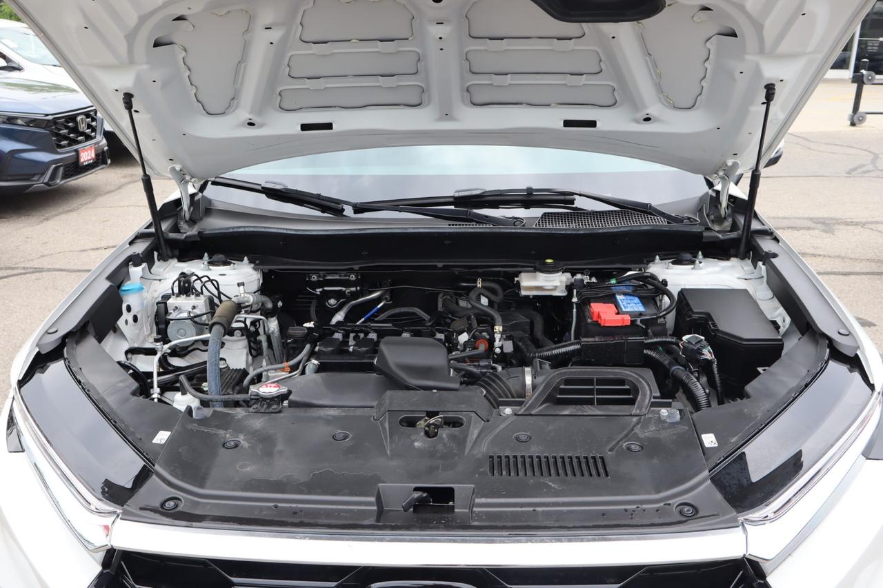 2024 Honda CR-V EX-L 4dr All-wheel Drive Photo