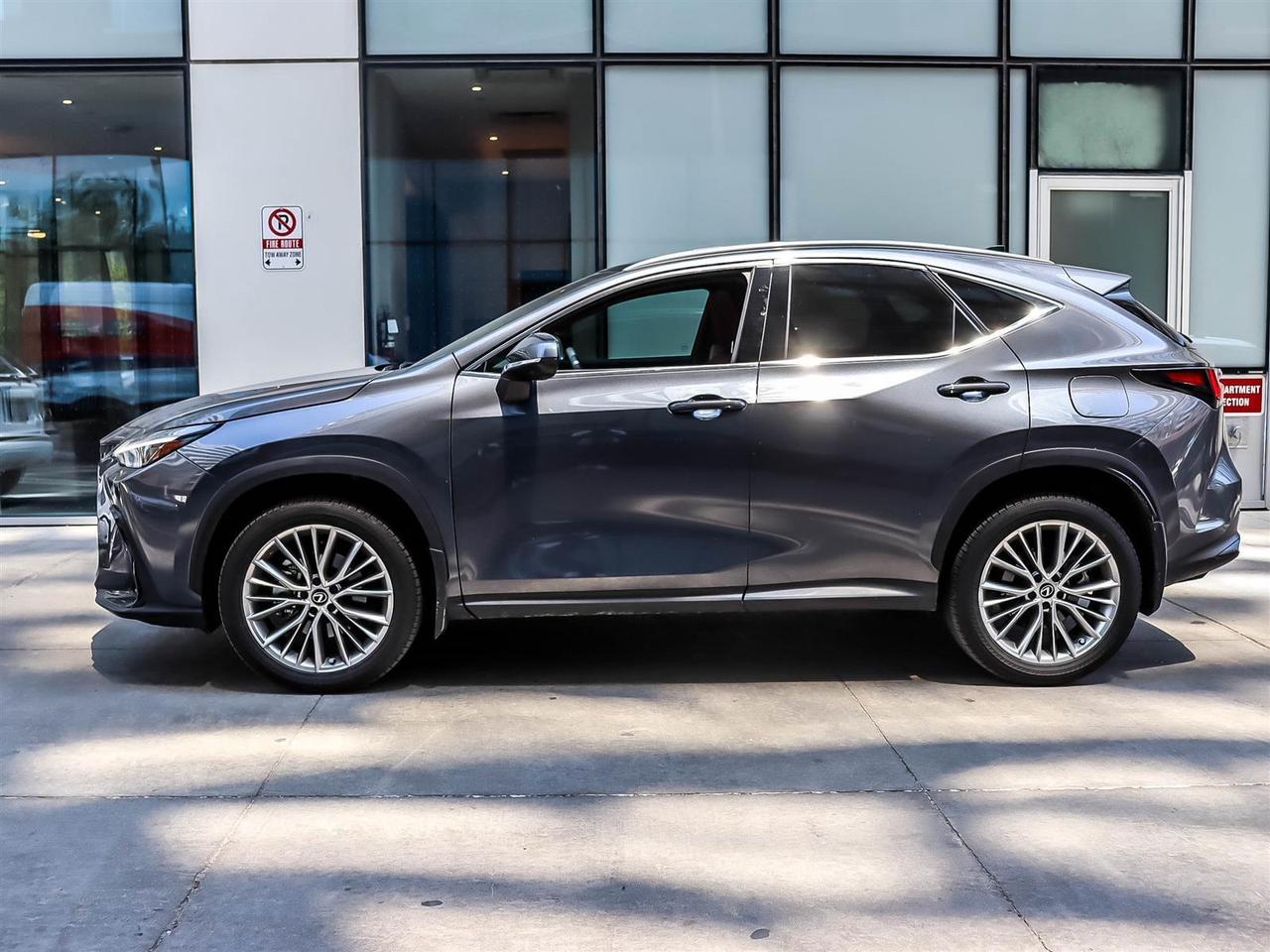 2024 Lexus NX 350 Ultra Luxury Pano Roof Nav Lexus Certified Photo