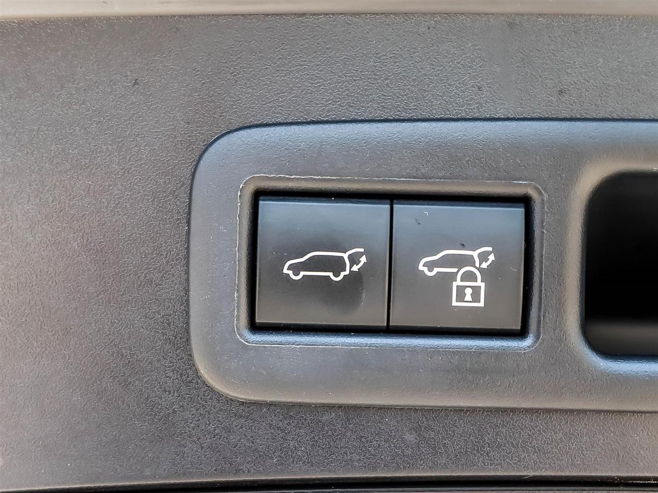 2023 Lexus UX 250h F Sport 2 Red Interior Safety Certified Photo