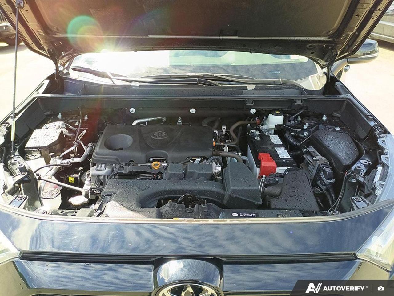 2023 Toyota RAV4 XLE 4dr All-wheel Drive Photo