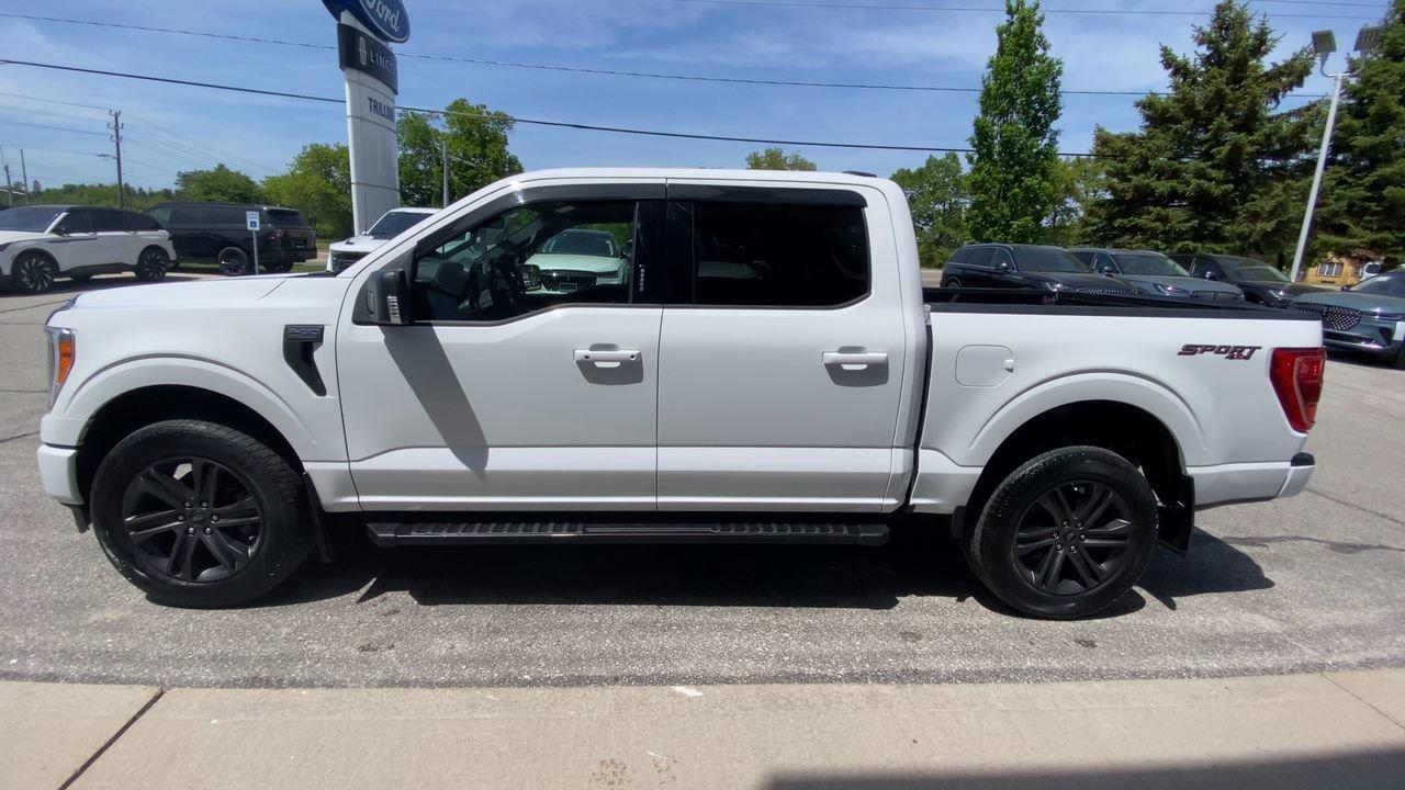 2022 Ford F-150 XLT Photo