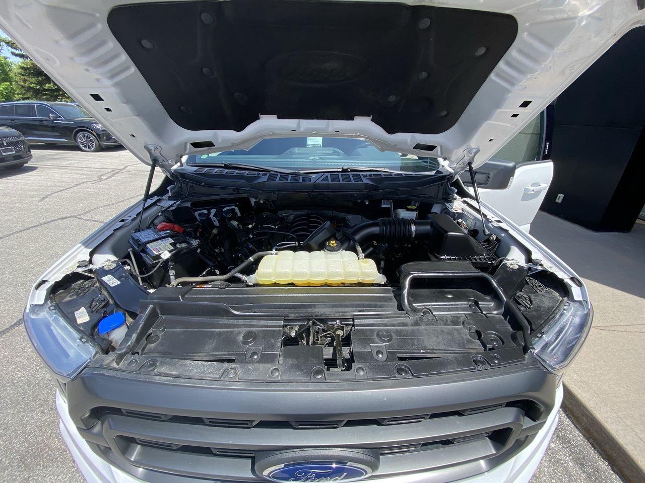 2022 Ford F-150 XLT Photo