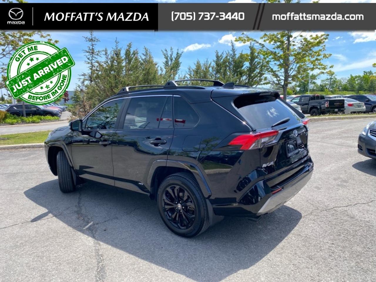 2024 Toyota RAV4 Hybrid SE Photo4