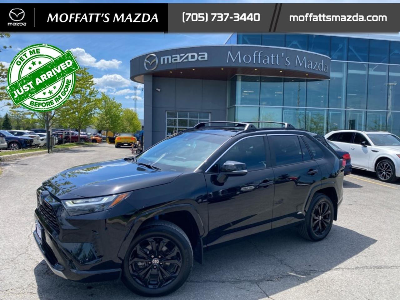 2024 Toyota RAV4 Hybrid SE Photo
