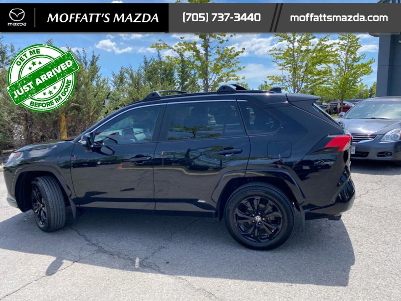 2024 Toyota RAV4 Hybrid SE Photo