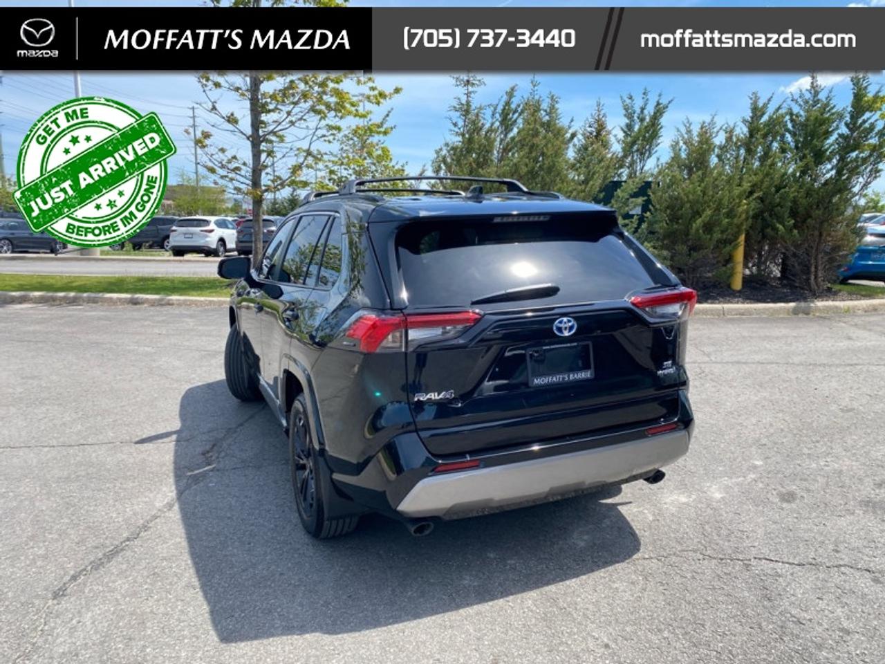 2024 Toyota RAV4 Hybrid SE Photo