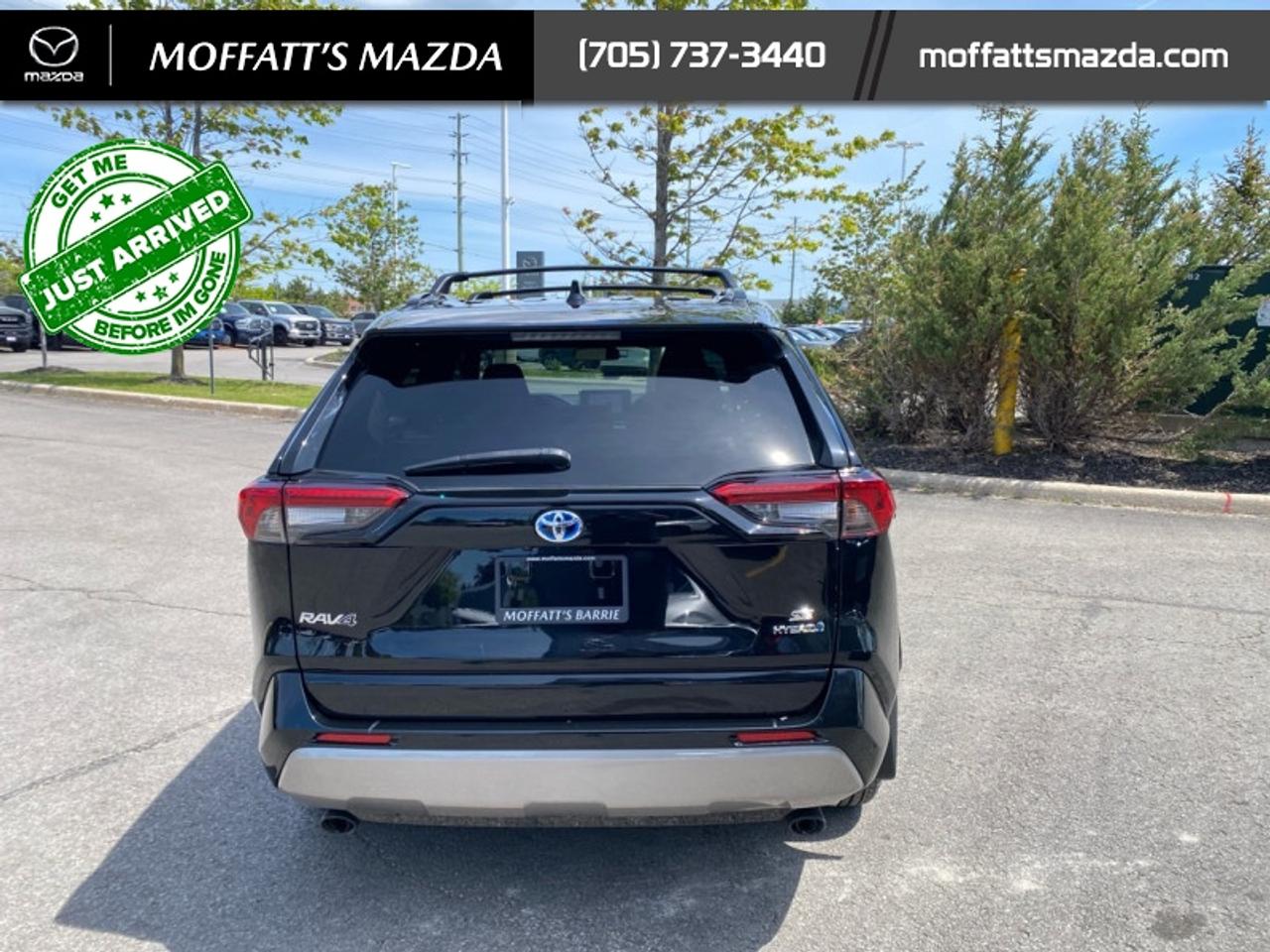 2024 Toyota RAV4 Hybrid SE Photo