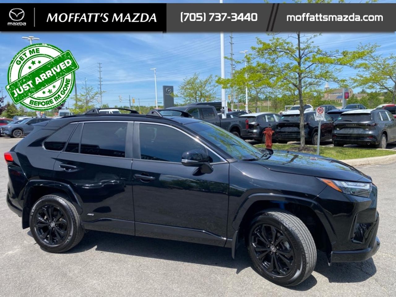 2024 Toyota RAV4 Hybrid SE Photo