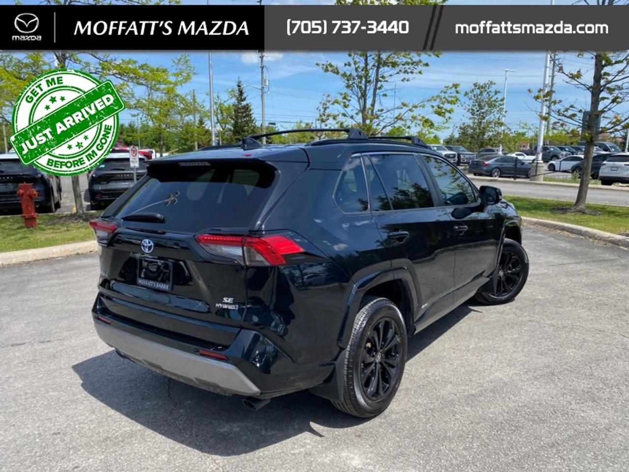2024 Toyota RAV4 Hybrid SE Photo