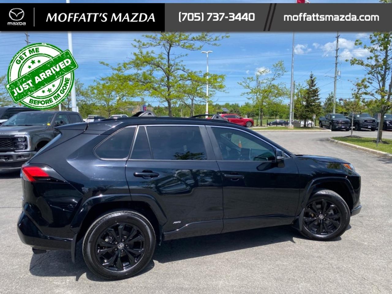 2024 Toyota RAV4 Hybrid SE Photo