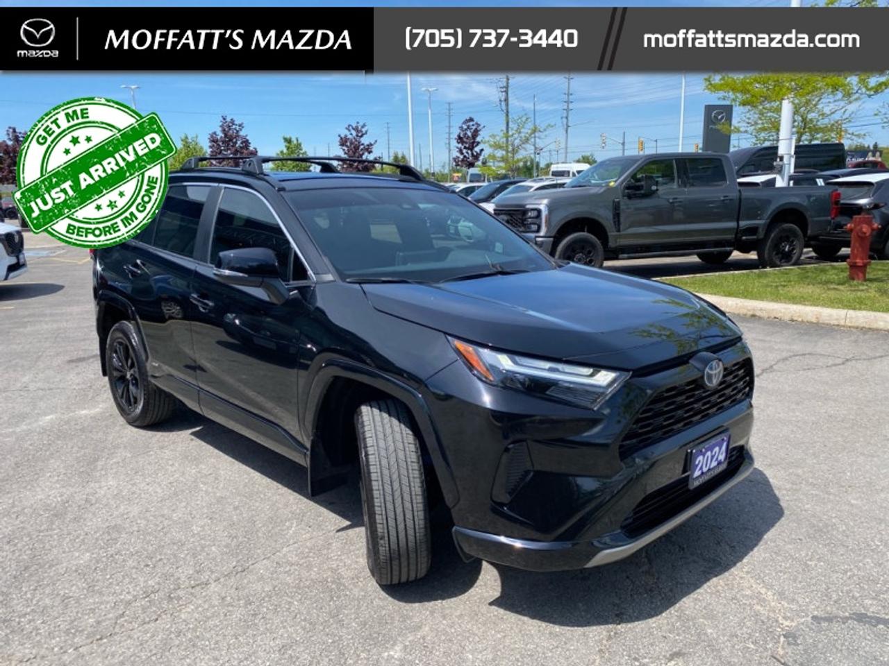 2024 Toyota RAV4 Hybrid SE Photo