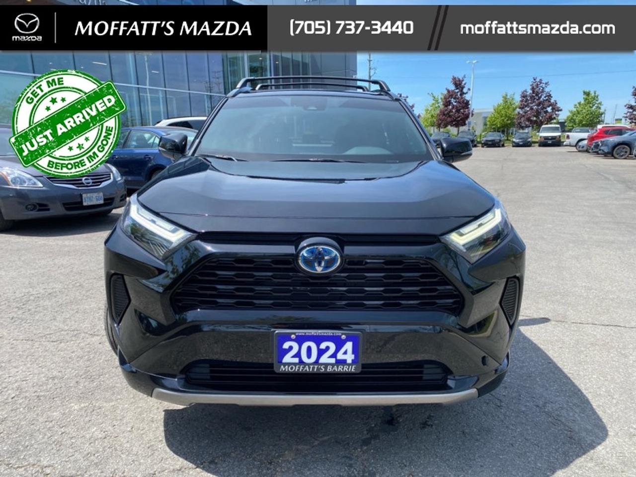 2024 Toyota RAV4 Hybrid SE Photo