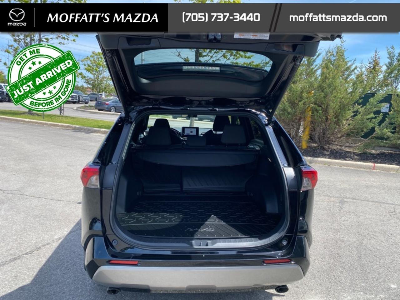 2024 Toyota RAV4 Hybrid SE Photo