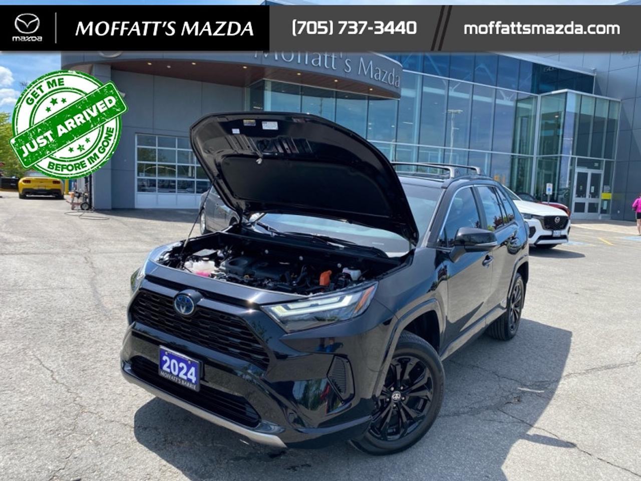 2024 Toyota RAV4 Hybrid SE Photo