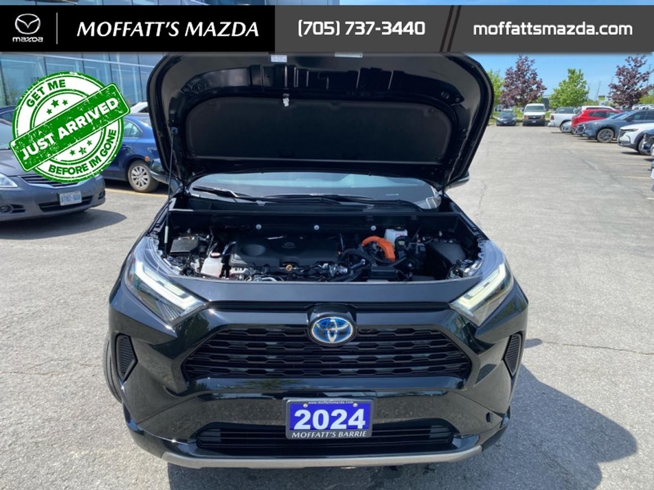 2024 Toyota RAV4 Hybrid SE Photo